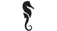 seahorsegy.co.uk
