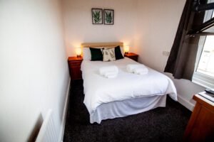 seahorse-1-star-1-of-34