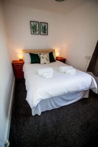 seahorse-1-star-2-of-34