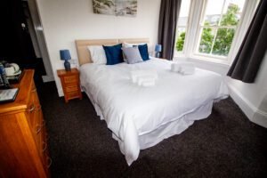 seahorse-1-star-26-of-34