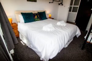 seahorse-1-star-29-of-34